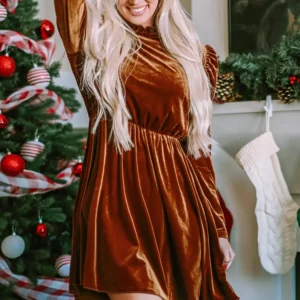 Chestnut Velvet Floral Swing Dress Long Sleeve